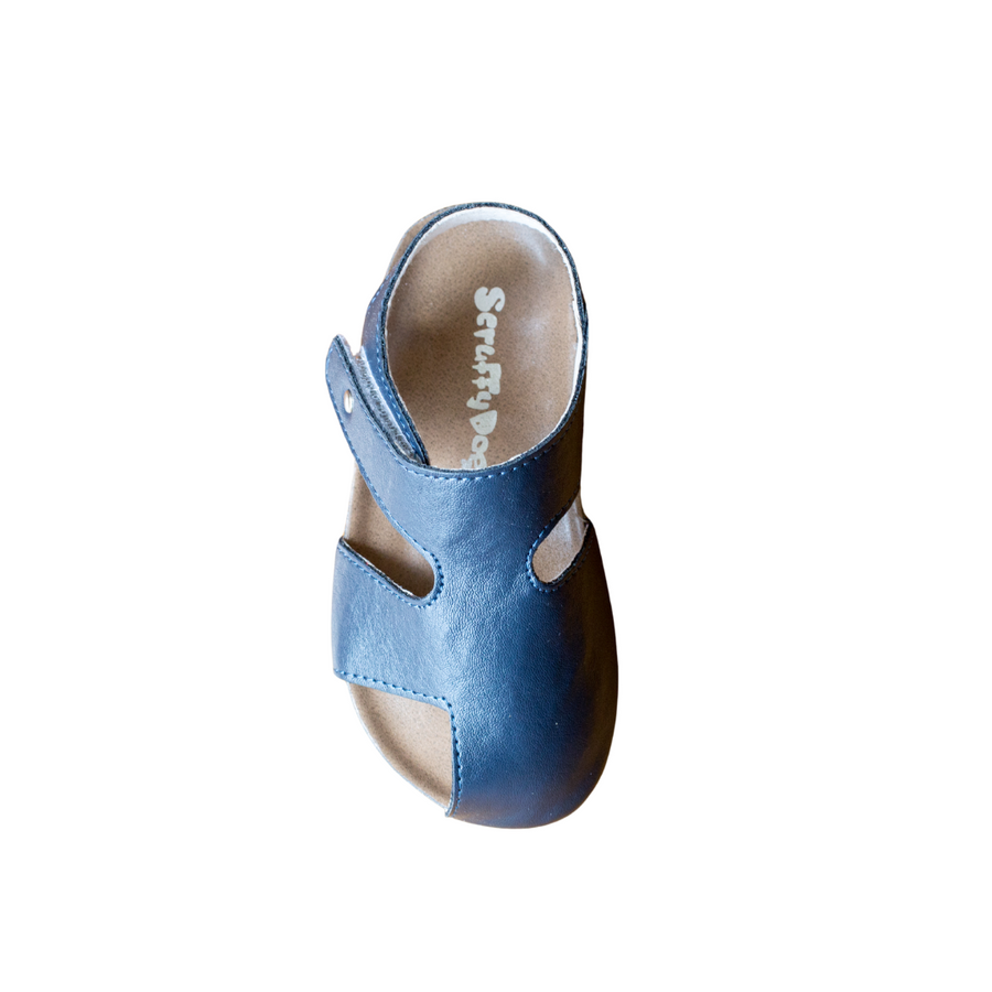 ScruffyDog Sandals | Buddy | Navy