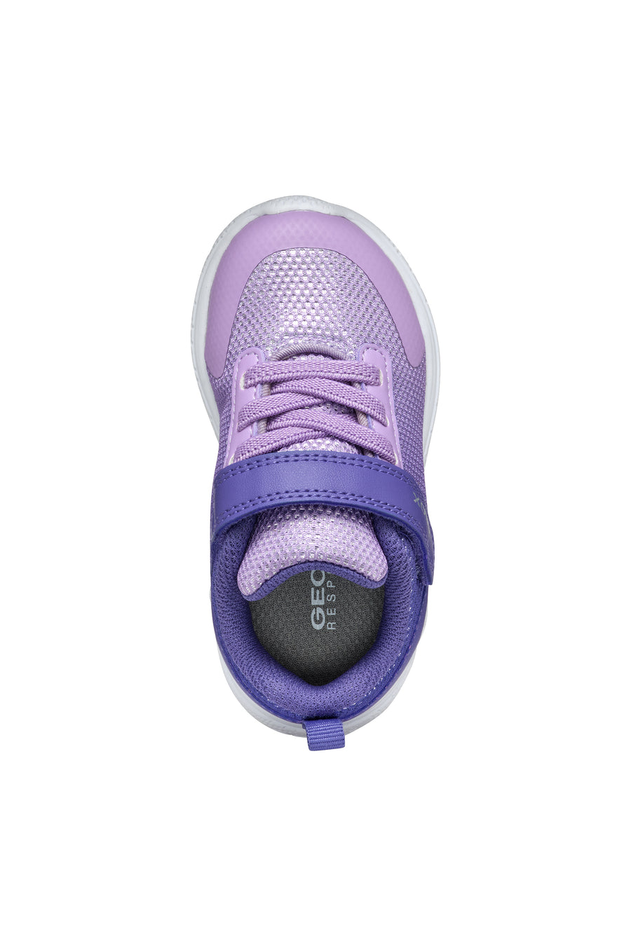 Geox Baby Trainers | Sprintye | Violet & Lilac