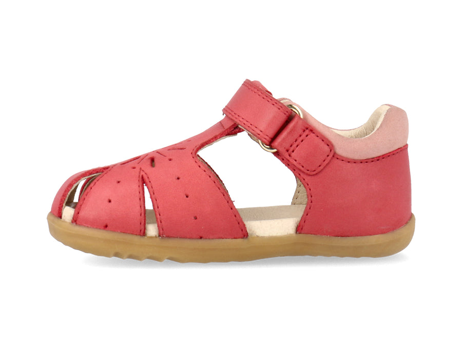 Bobux Sandals | Step up  Compass  | Red & Rose