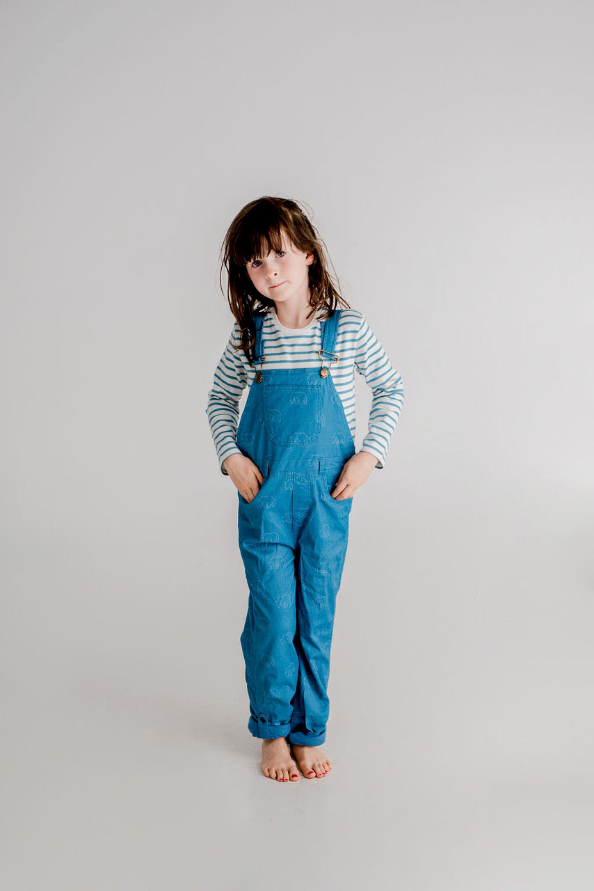 Dotty Dungarees | Bear Print Dungarees | Blue