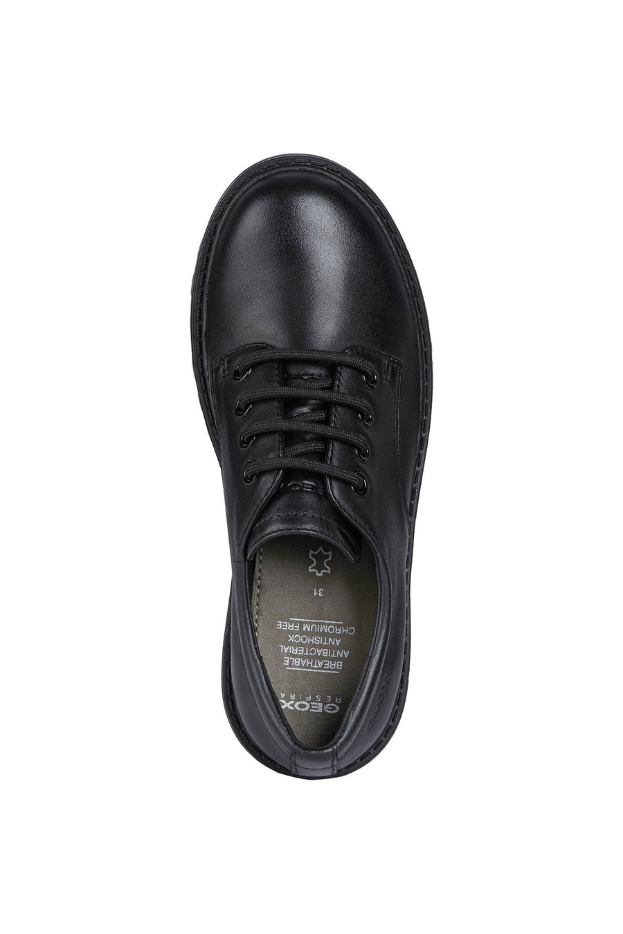 Geox School Shoes | Casey Lace | Black