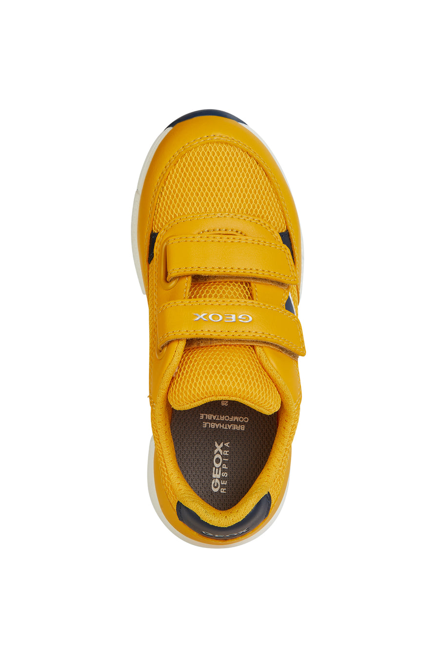 Geox Boys Trainers | Alben | Yellow & Navy