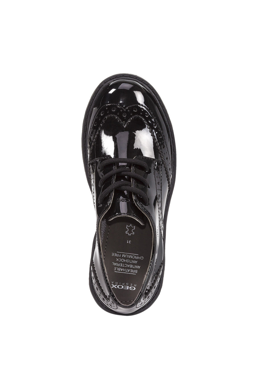 Geox School Shoes | Casey Lace Brogue | Patent Black