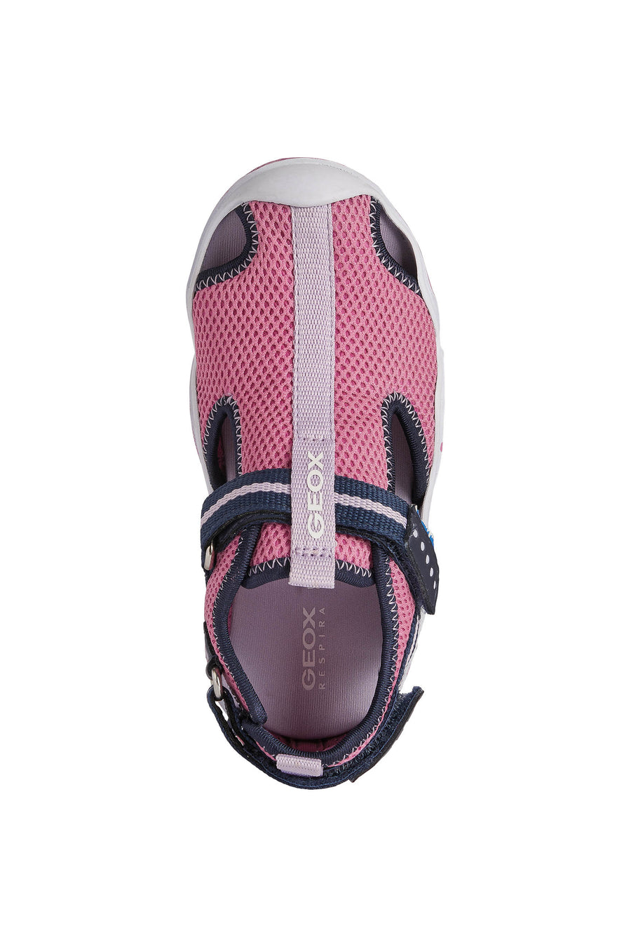 Geox Wader Waterproof Sandal | Navy & Pink