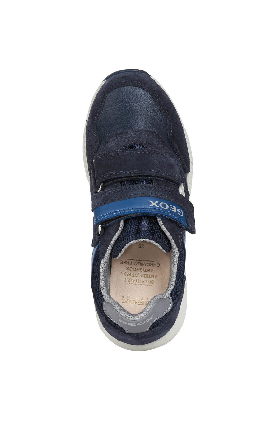 Geox Boys Trainers | Alben | Navy & Dark Avion