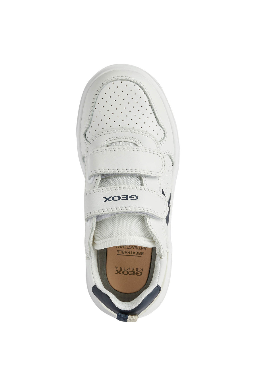 Geox Nettuno Trainers | White & Navy