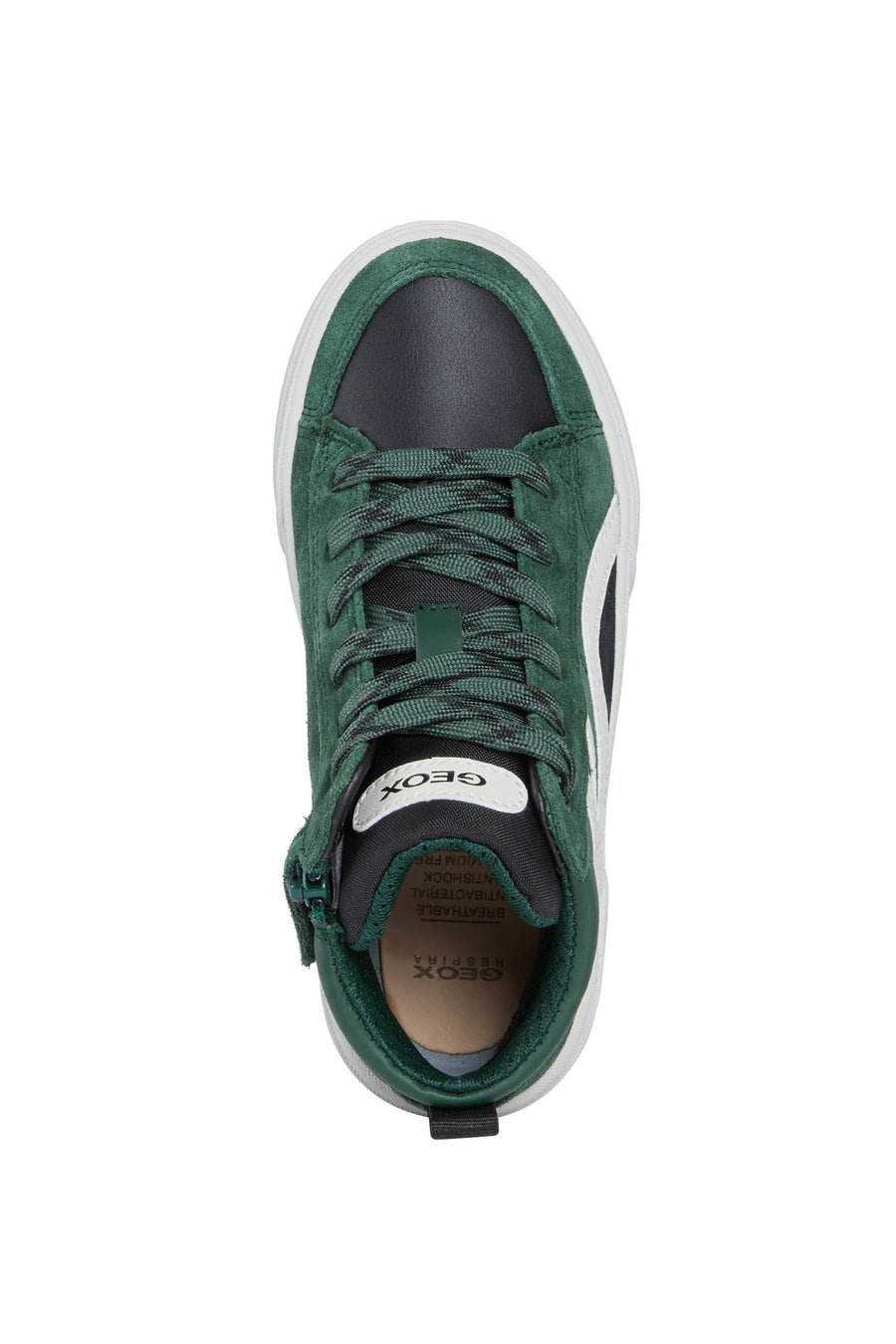 Geox Hi Top Trainers |Weemble | Green & Black