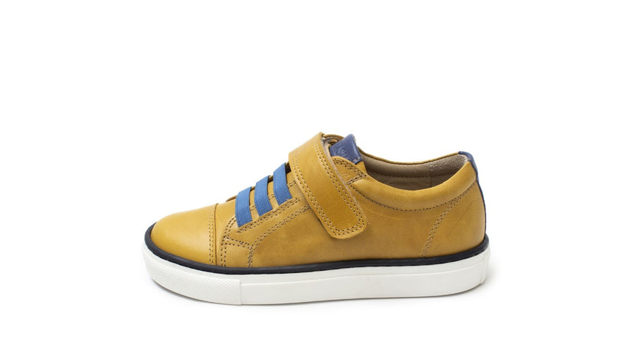 Petasil Ryan|Mustard & Blue